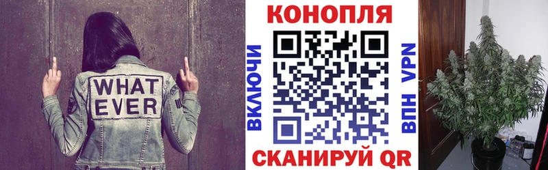 Где купить наркотики Нягань ГАШ Амфетамин kraken Меф мяу мяу Кетамин