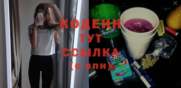 гашик Алексин