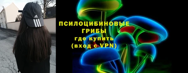 молекула духа Абинск