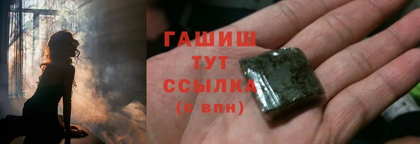 гашик Алексин