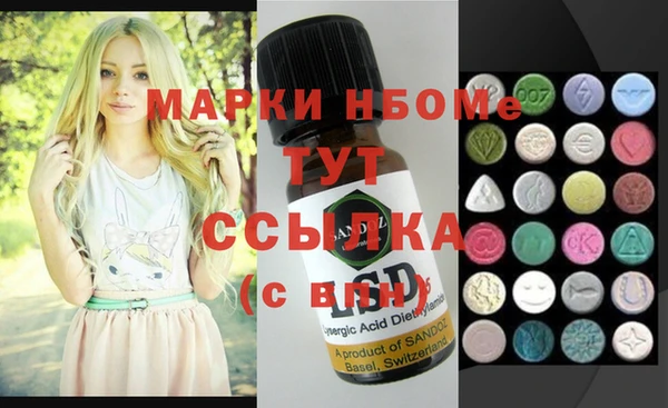 гашик Алексин