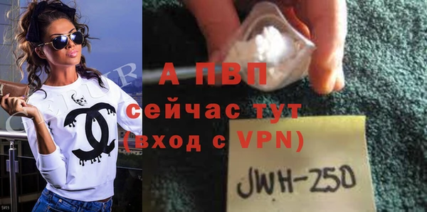 индика Заволжье