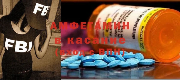 гашик Алексин