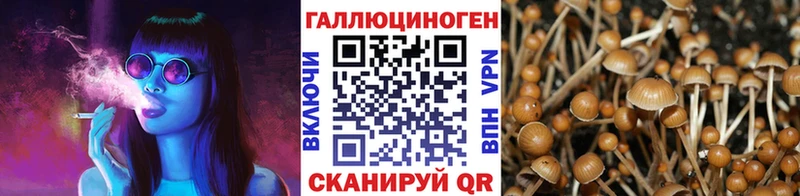 Псилоцибиновые грибы Cubensis  Нягань 
