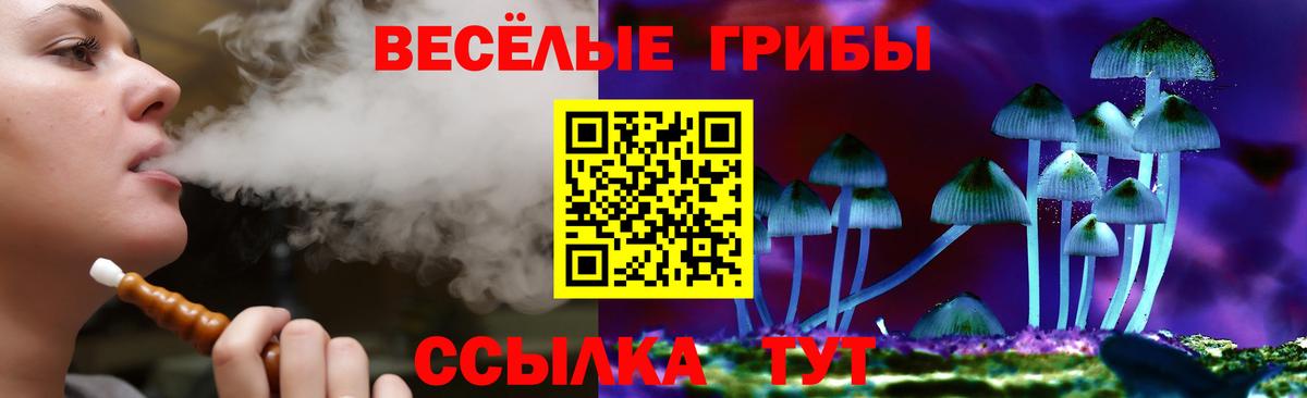 Псилоцибиновые грибы Psilocybine cubensis  Вход с VPN  Нягань  Псилоцибиновые грибы GOLDEN TEACHER 